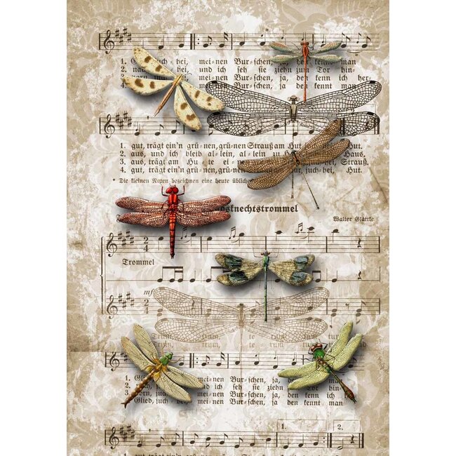 Decoupage Queen Dragonflies on SheetMusic A4