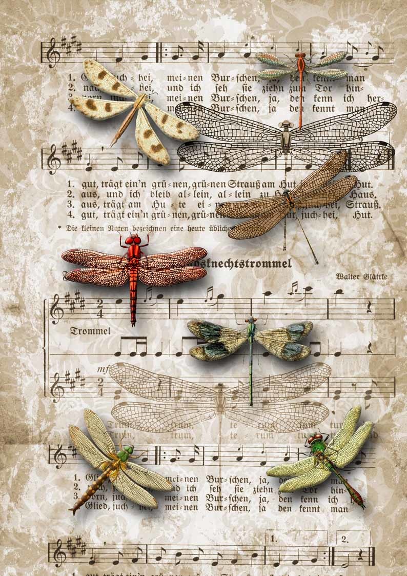 Decoupage Queen Dragonflies on SheetMusic A4