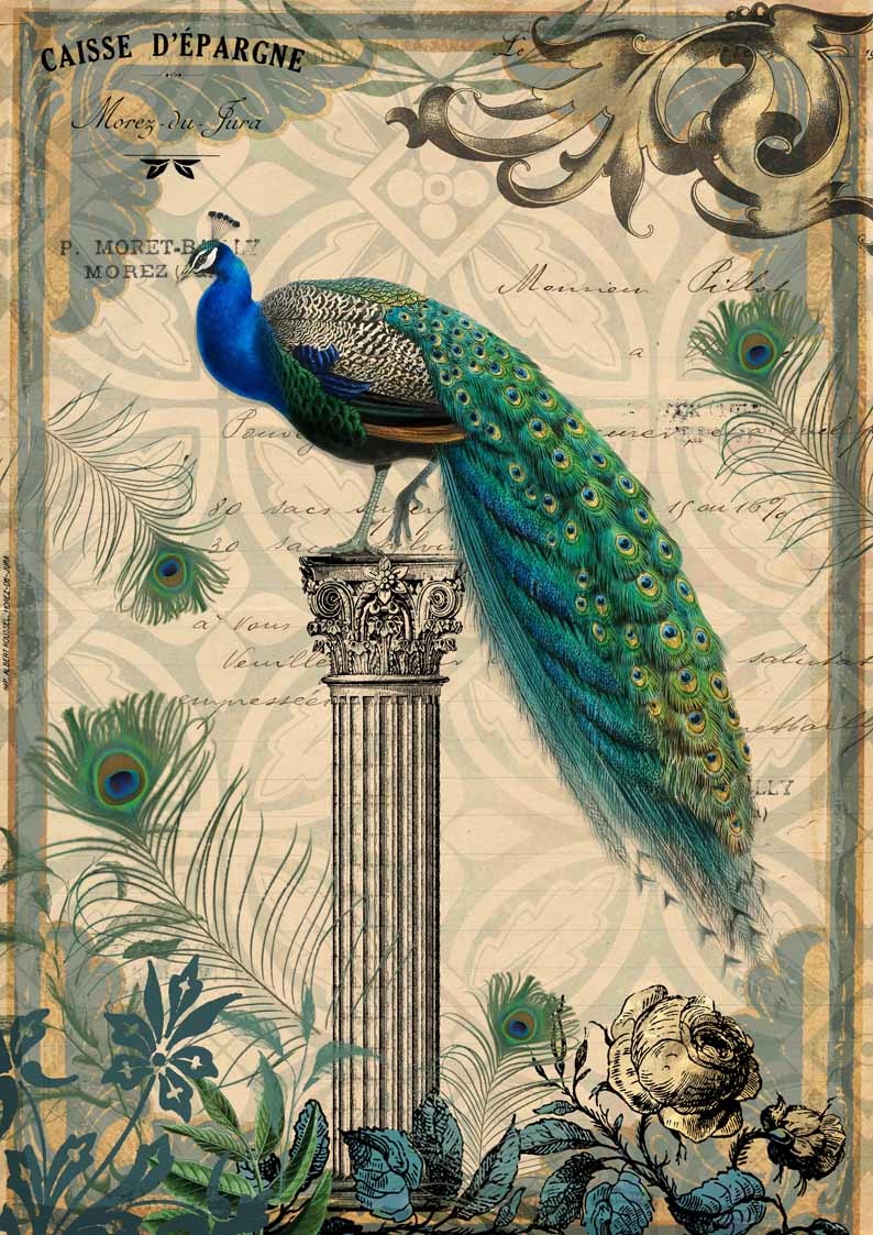 Decoupage Queen Peacock on a Pedestal A4