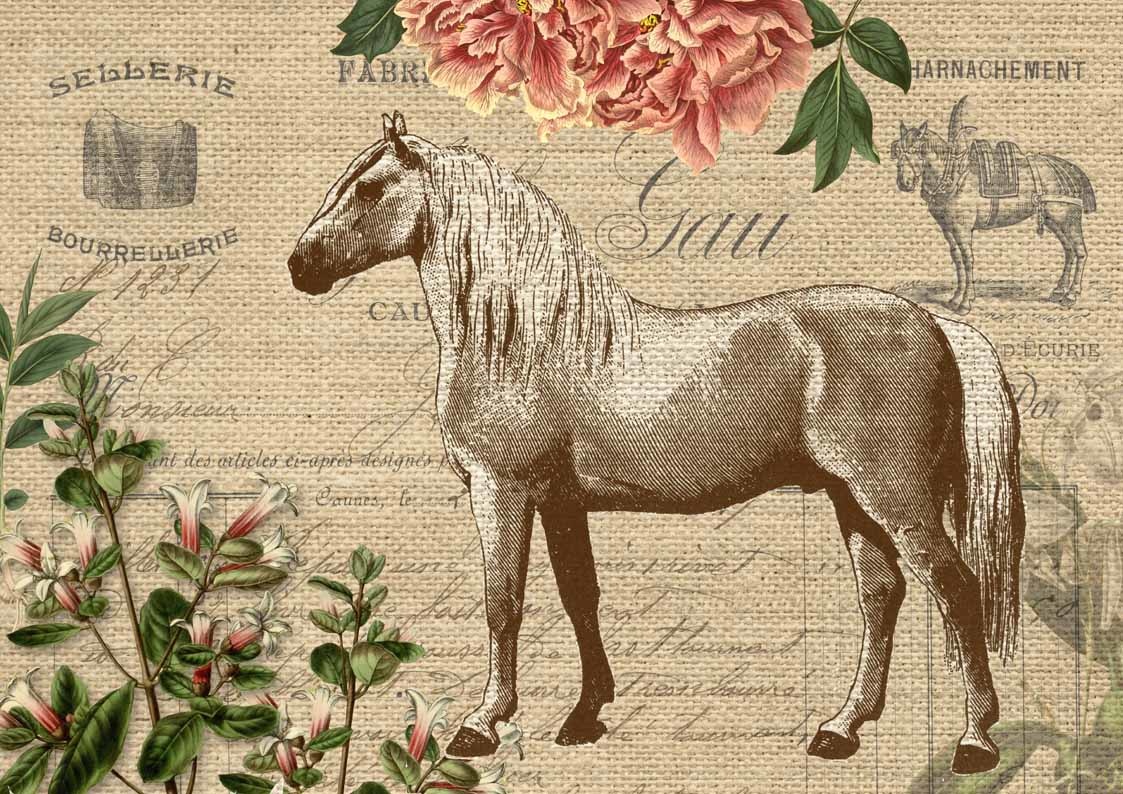 Decoupage Queen Vintage Burlap Horse A4
