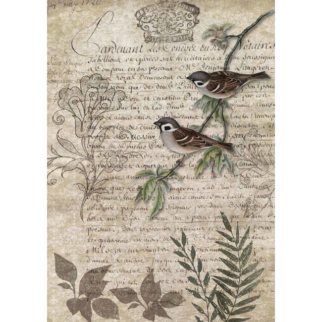 Decoupage Queen Birds on a Branch A4