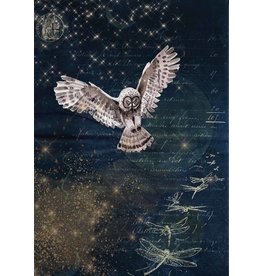 Decoupage Queen Karin's Night Owl A4