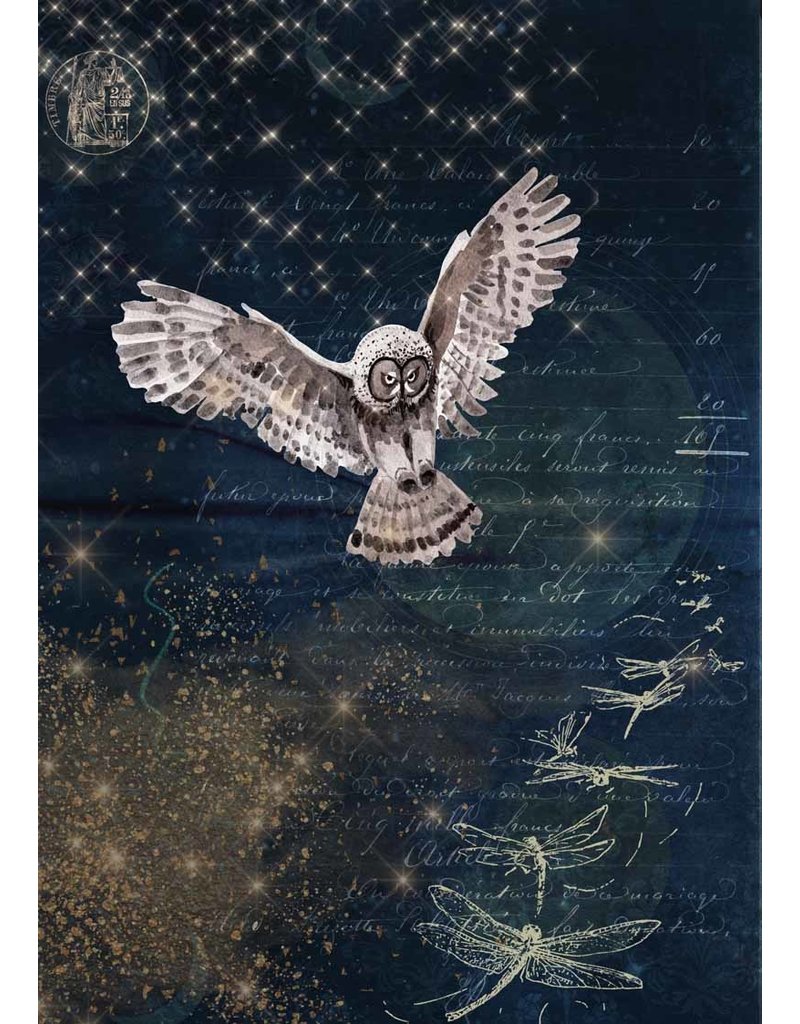 Decoupage Queen Karin's Night Owl A4Karin's Night Owl A4
