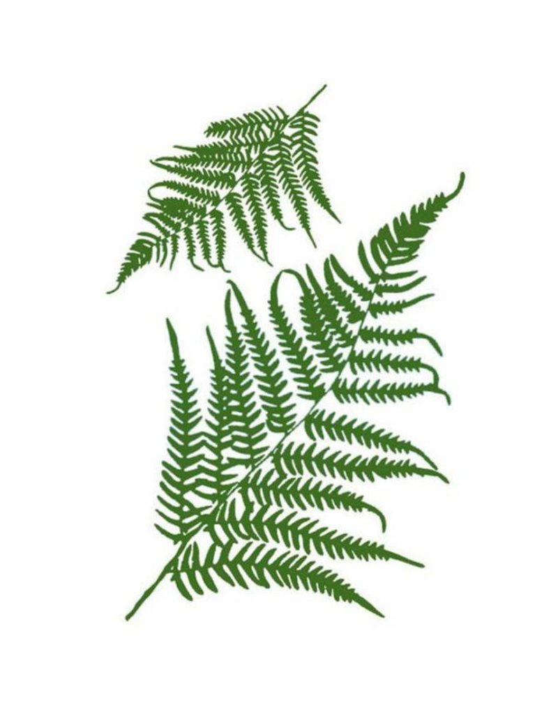 Stamperia Stencil G cm.21x29,7 Fern leaves