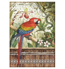 Stamperia A4 Rice paper packed - Amazonia parrot