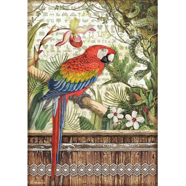 Stamperia A4 Rice paper packed - Amazonia parrot