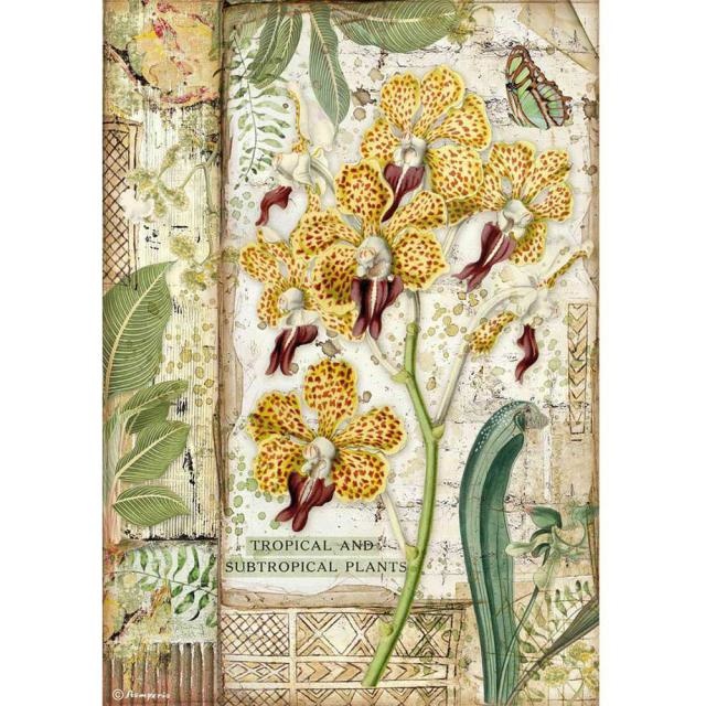 Stamperia A4 Rice paper packed - Amazonia orchid