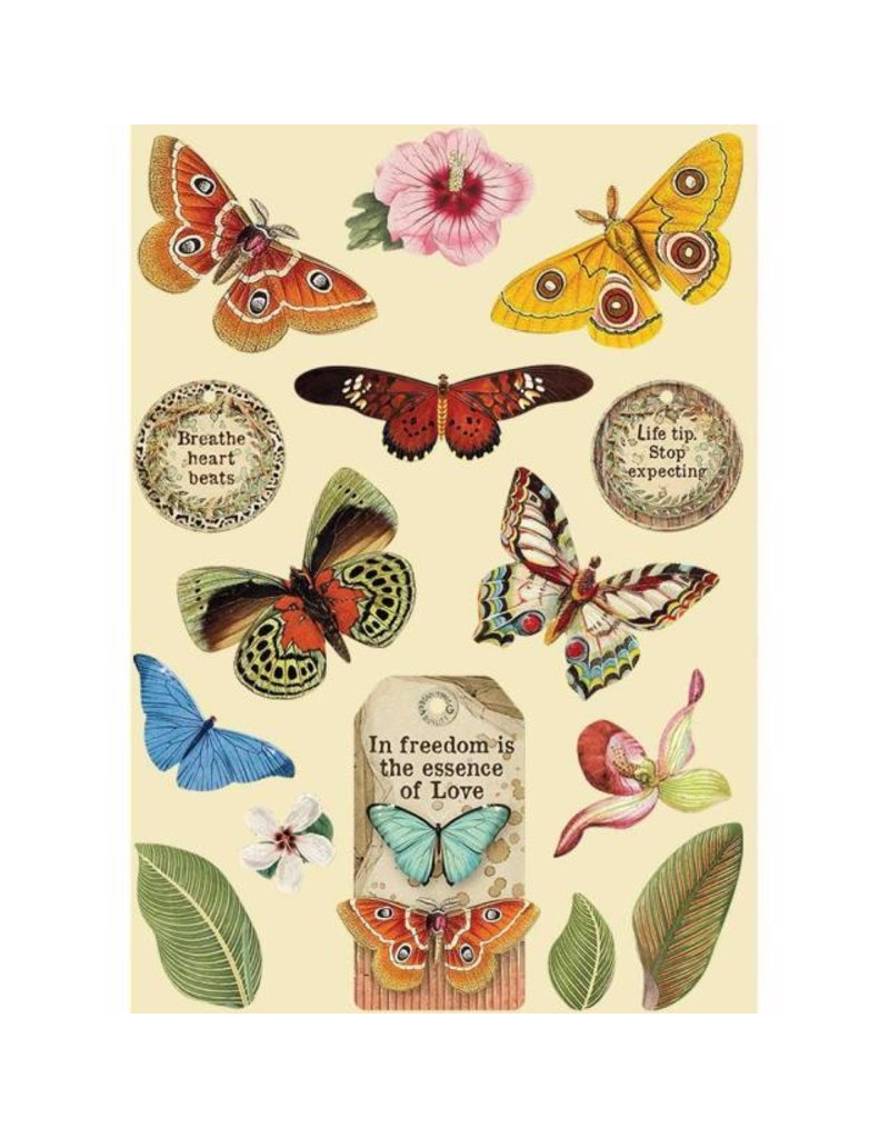 Stamperia Colored Wooden frame A5 - Amazonia butterfly