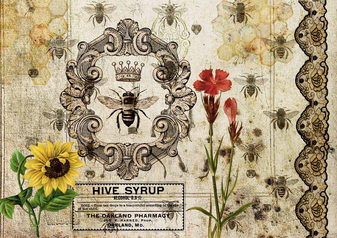 Decoupage Queen Hive Syrup