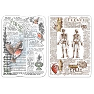 Ciao Bella Clear Stamp Set 4"x6" Human & Nature