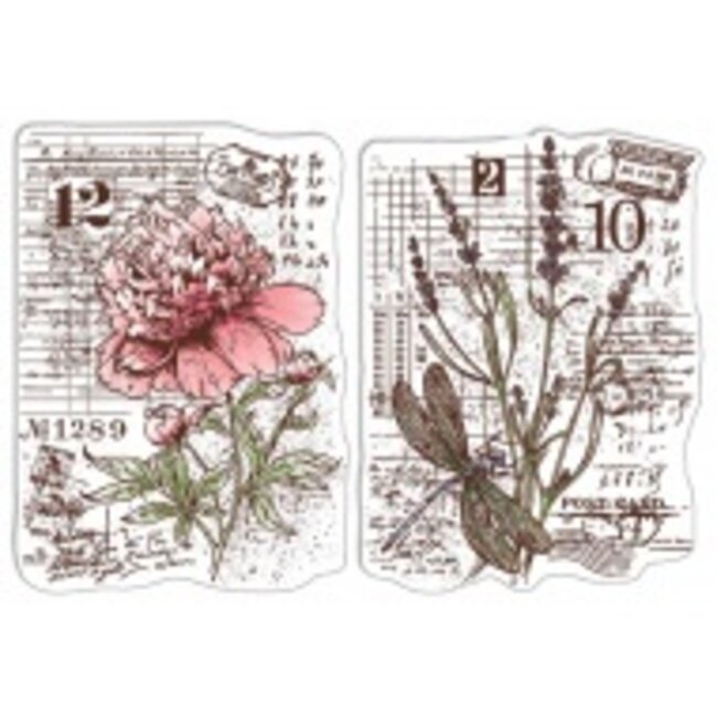 Ciao Bella Clear Stamp Set 4"x6" Botanical Postcards
