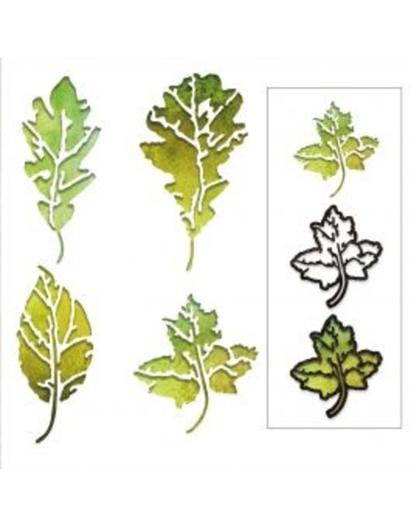 Sizzix Sizzix • Thinlits snijmallen set Leaf print