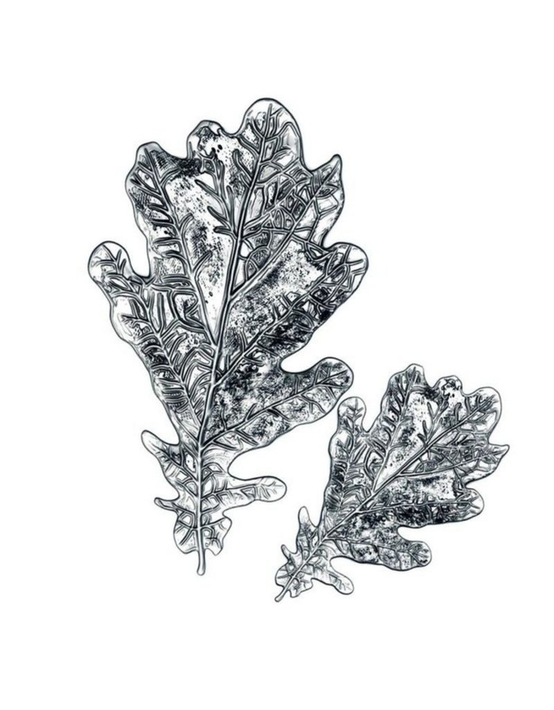 Sizzix Sizzix • 3D impresslits embossing folder Oak leaf