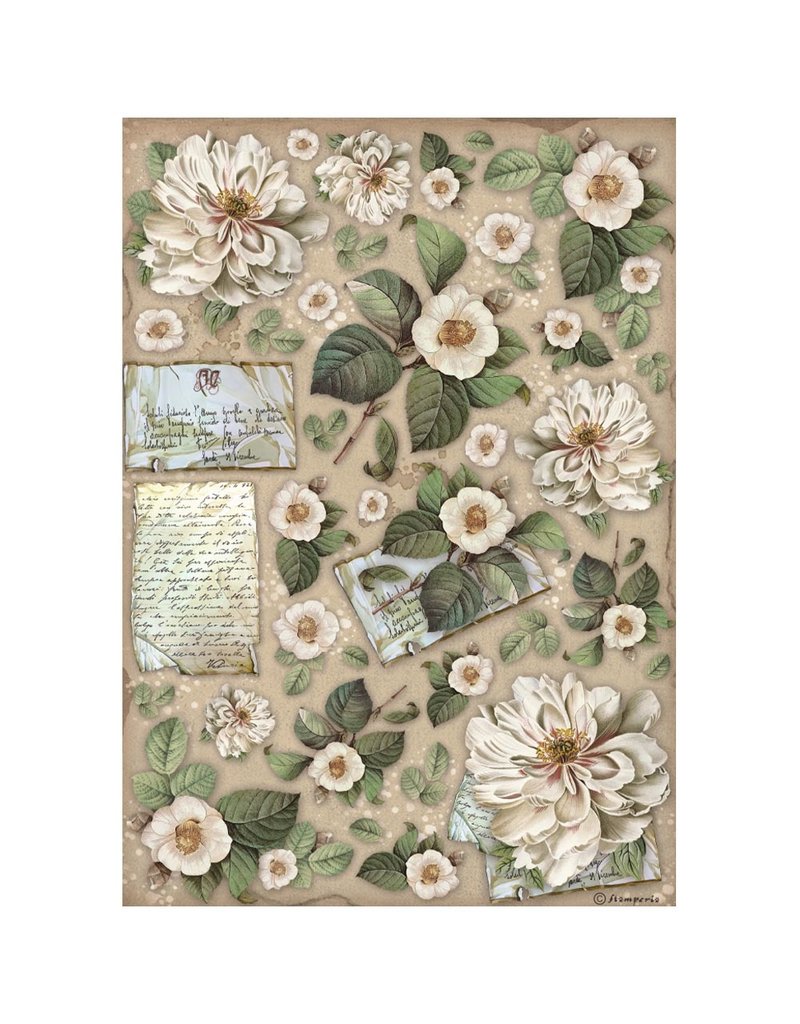 Stamperia A4 Rice paper packed - Vintage Library flowers and letters