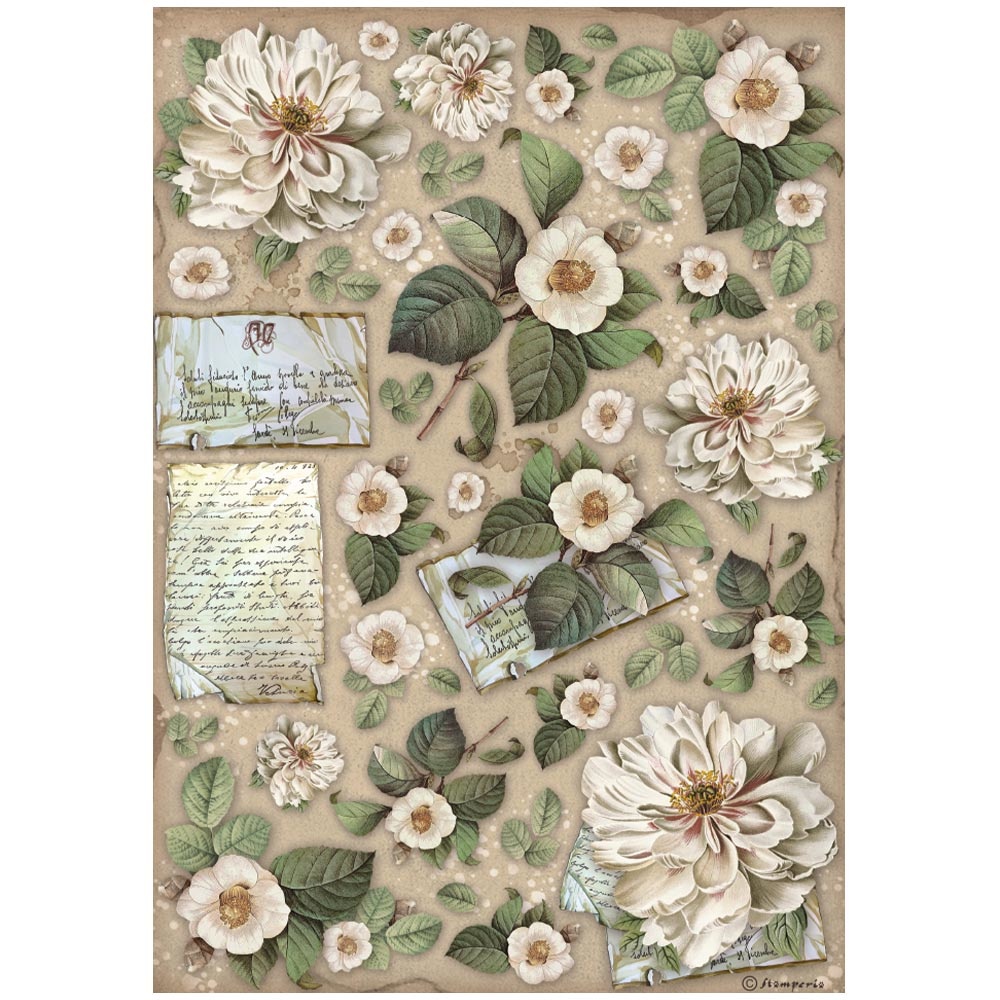 Stamperia A4 Rice paper packed - Vintage Library flowers and letters