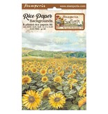 Stamperia Selection 8 Rice paper A6 backgrounds - Sunflower Art