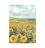 Stamperia Selection 8 Rice paper A6 backgrounds - Sunflower Art