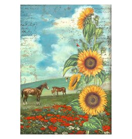 Stamperia A4 Rice paper packed - Sunflower Art and horses