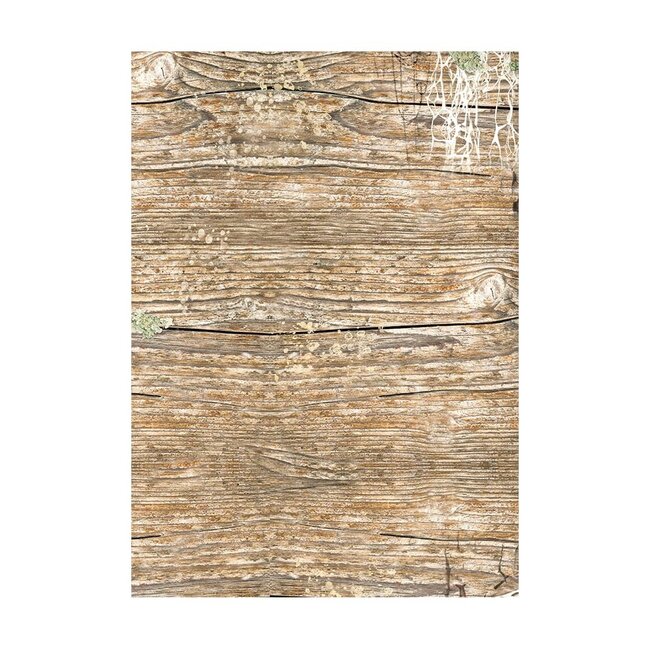 Stamperia Selection 8 Rice paper A6 backgrounds - Songs of the Sea