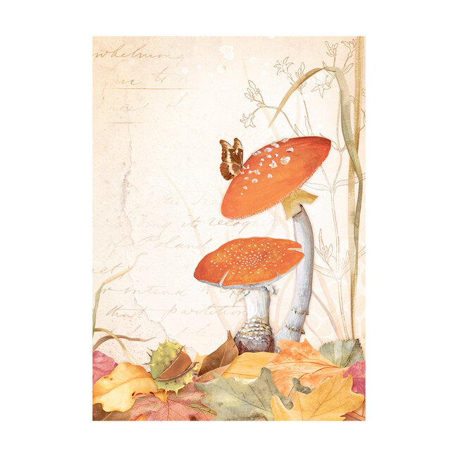 Stamperia Selection 8 Rice paper A6 backgrounds - Woodland