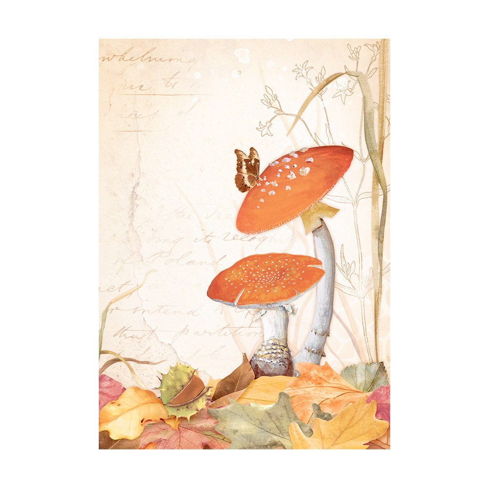 Stamperia Selection 8 Rice paper A6 backgrounds - Woodland