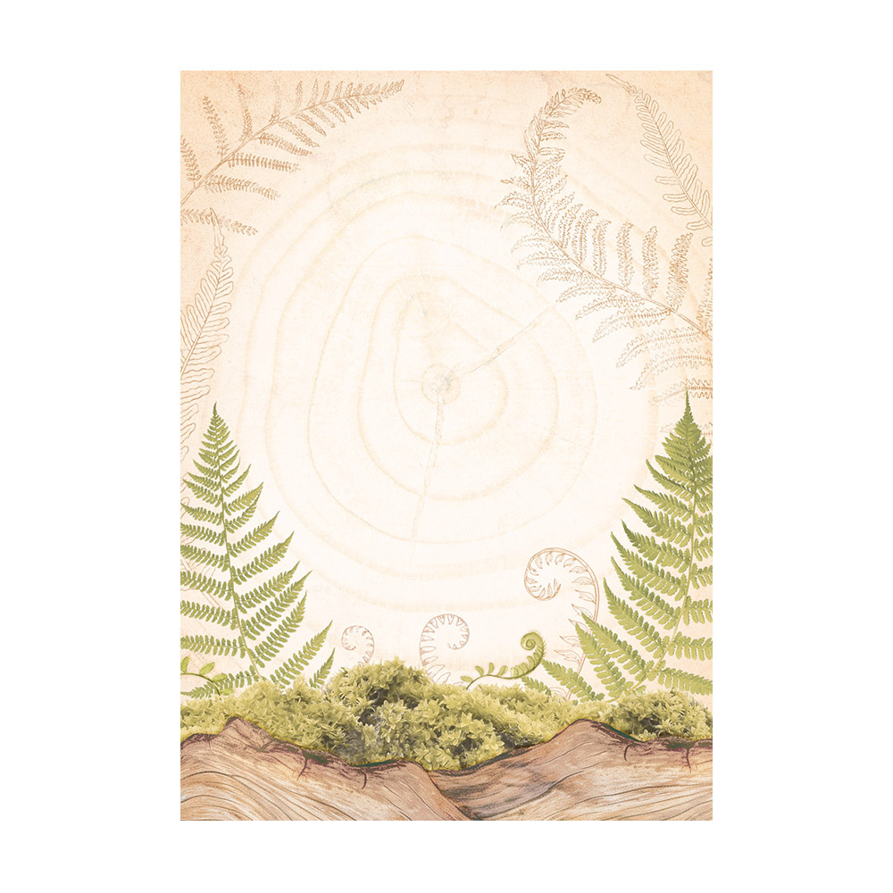 Stamperia Selection 8 Rice paper A6 backgrounds - Woodland