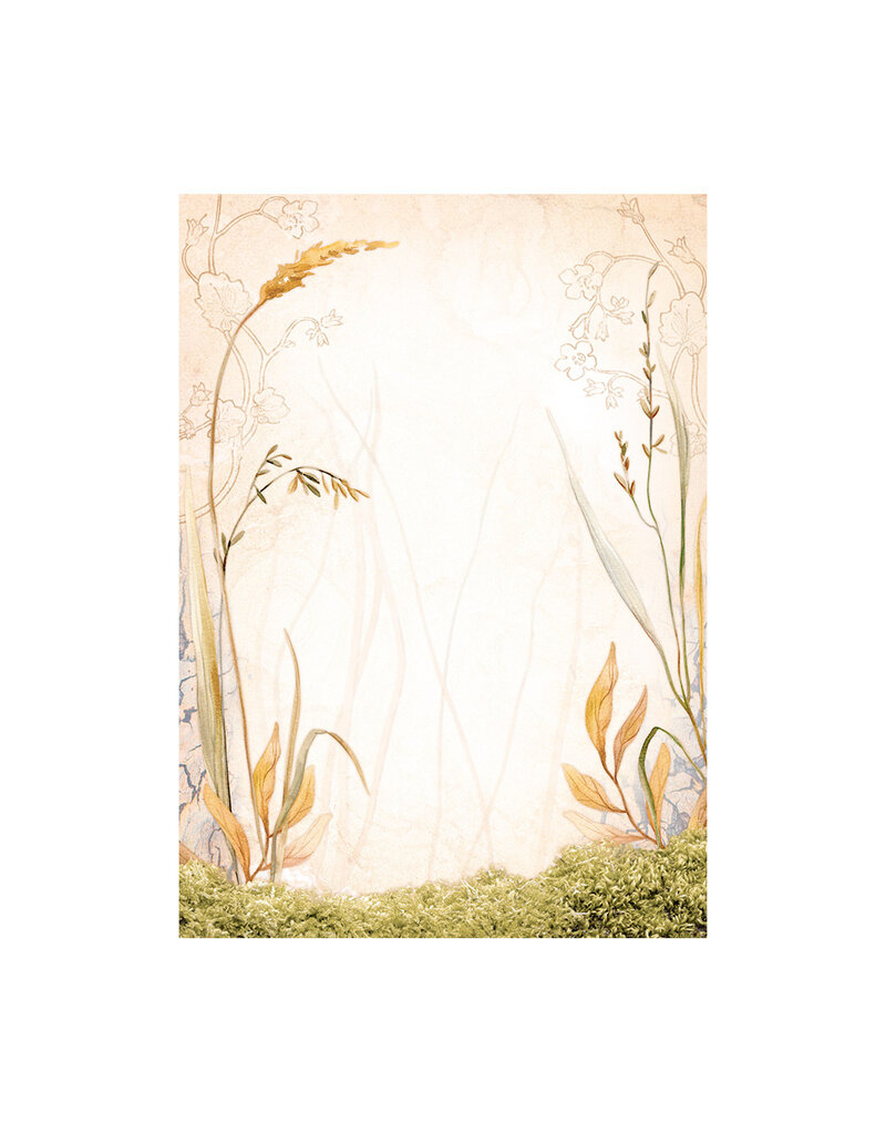 Stamperia Selection 8 Rice paper A6 backgrounds - Woodland