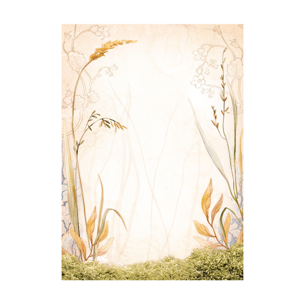 Stamperia Selection 8 Rice paper A6 backgrounds - Woodland