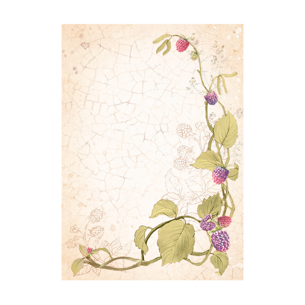 Stamperia Selection 8 Rice paper A6 backgrounds - Woodland