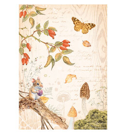 Stamperia A4 Rice paper packed - Woodland butterfly
