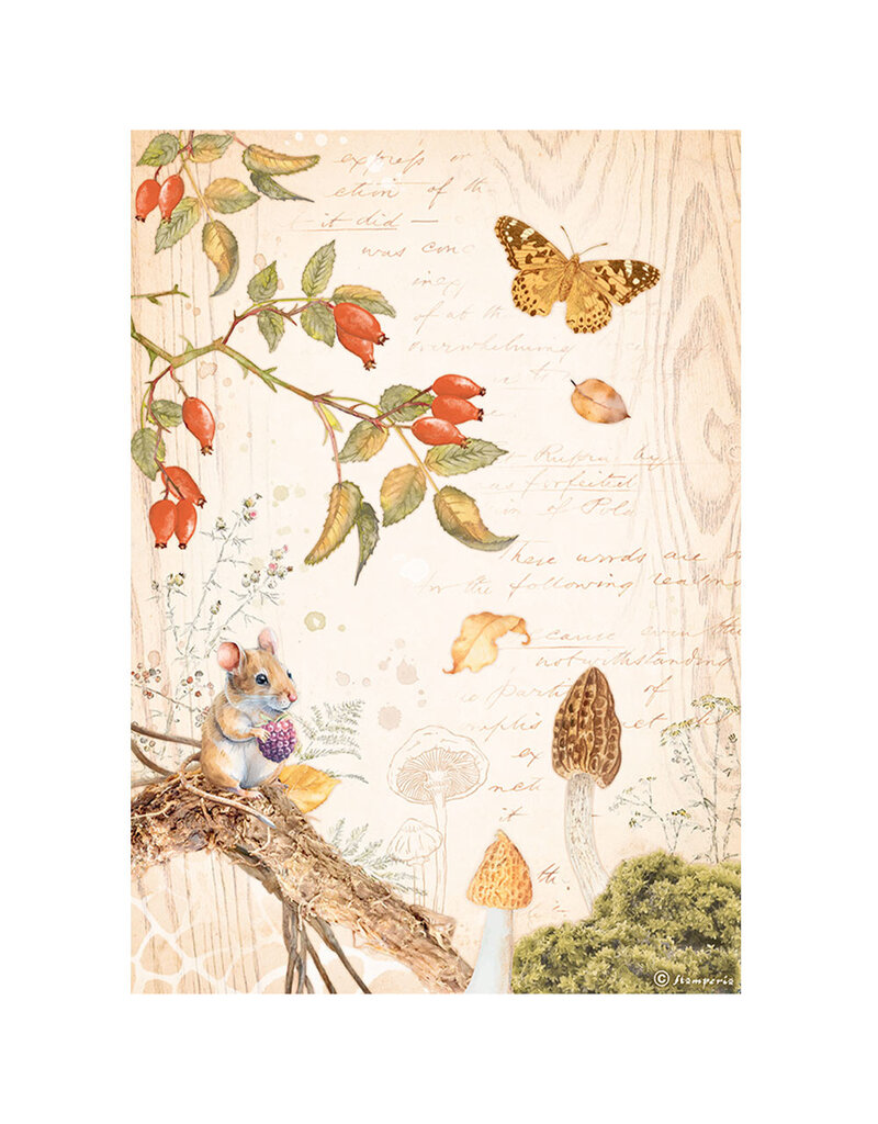 Stamperia A4 Rice paper packed - Woodland butterfly