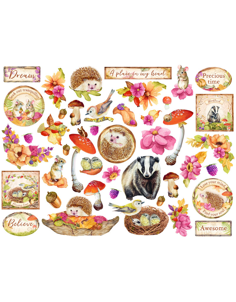 Stamperia Die cuts assorted - Woodland