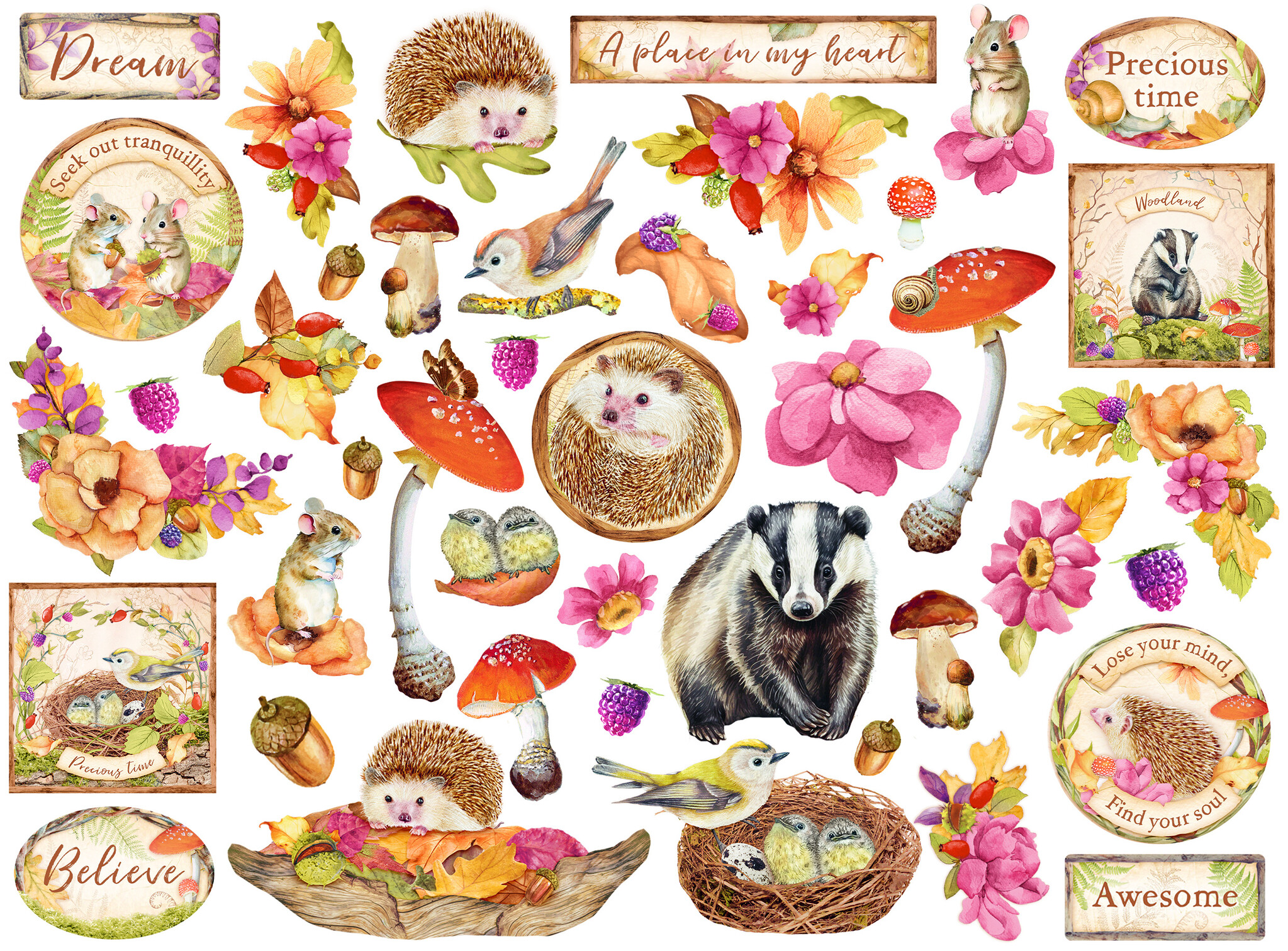Stamperia Die cuts assorted - Woodland