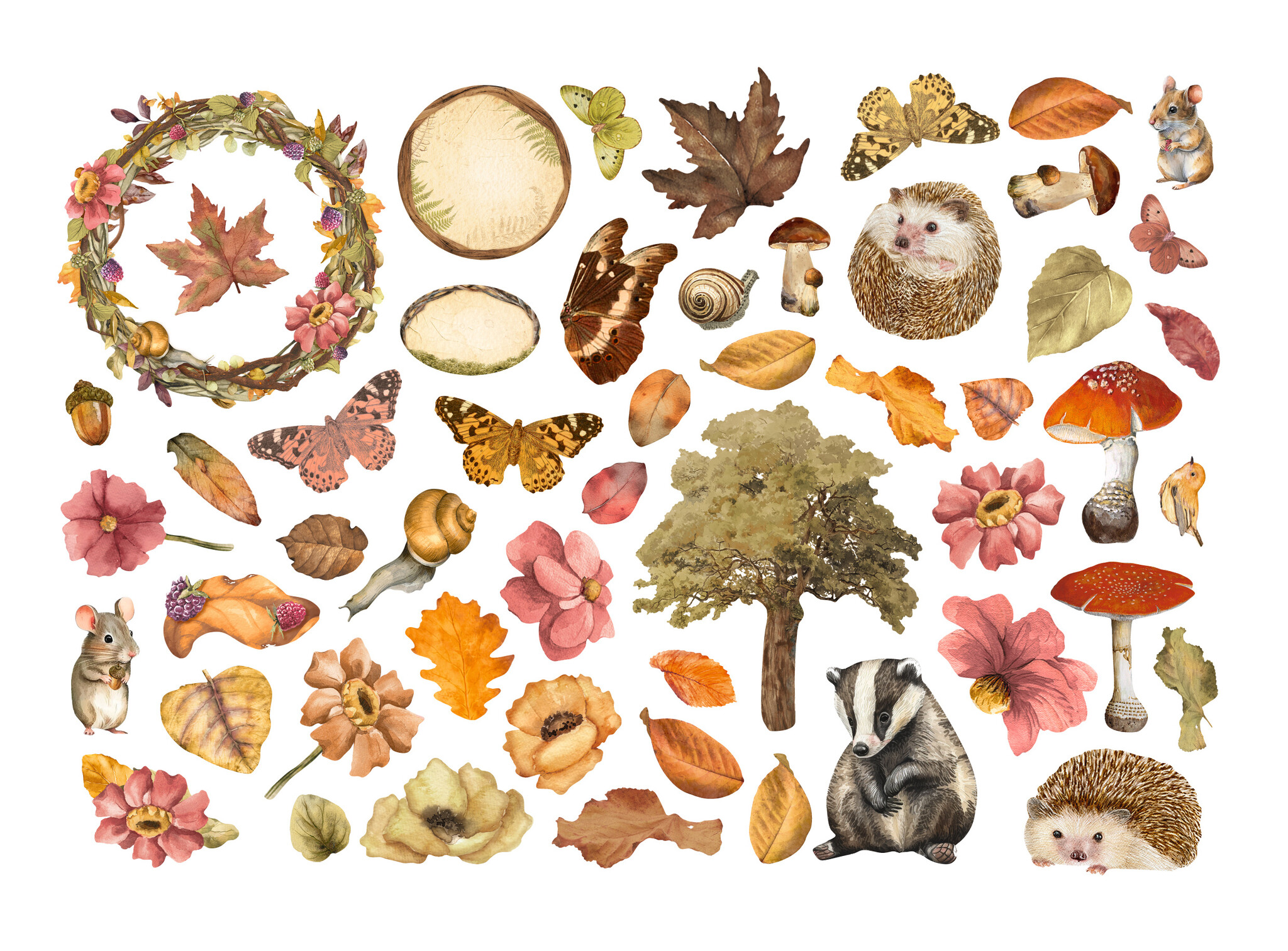 Stamperia Ephemera   - Woodland