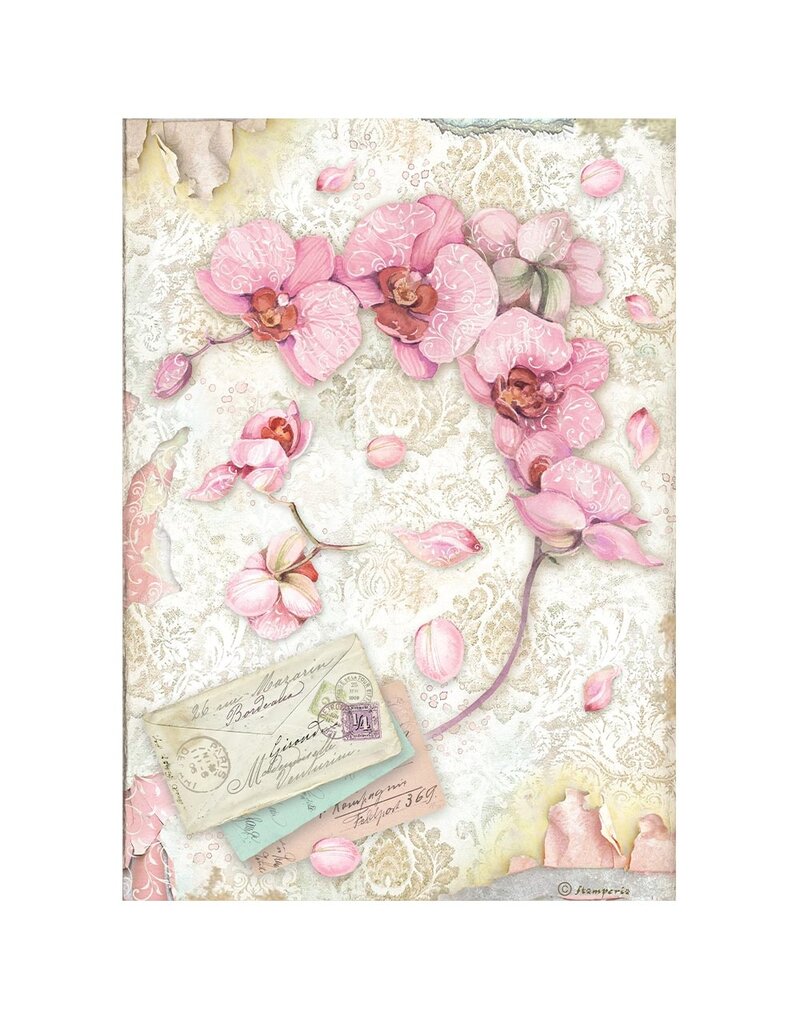 Stamperia A4 Rice paper packed - Orchids and Cats pink orchid