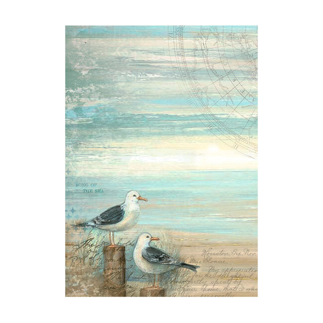 Stamperia Selection 8 Rice paper A6 backgrounds - Sea Land