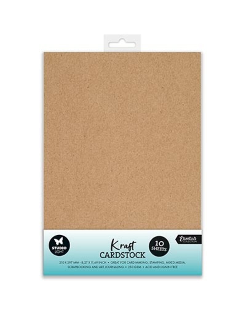 Studio Light SL Paper set Consumables Kraft Cardstock 250 gsm nr.42