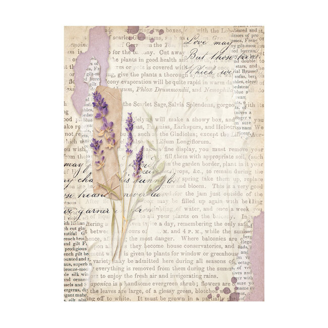 Stamperia Selection 8 Rice paper A6 backgrounds - Lavender