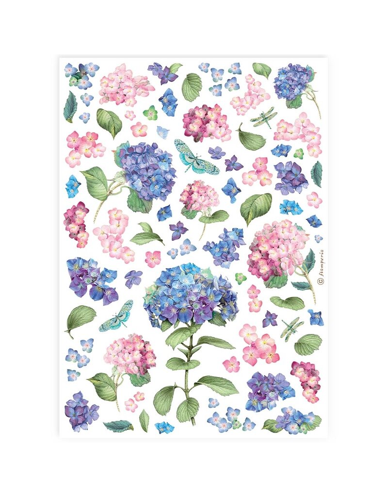 Stamperia A4 Rice paper packed - Hortensia