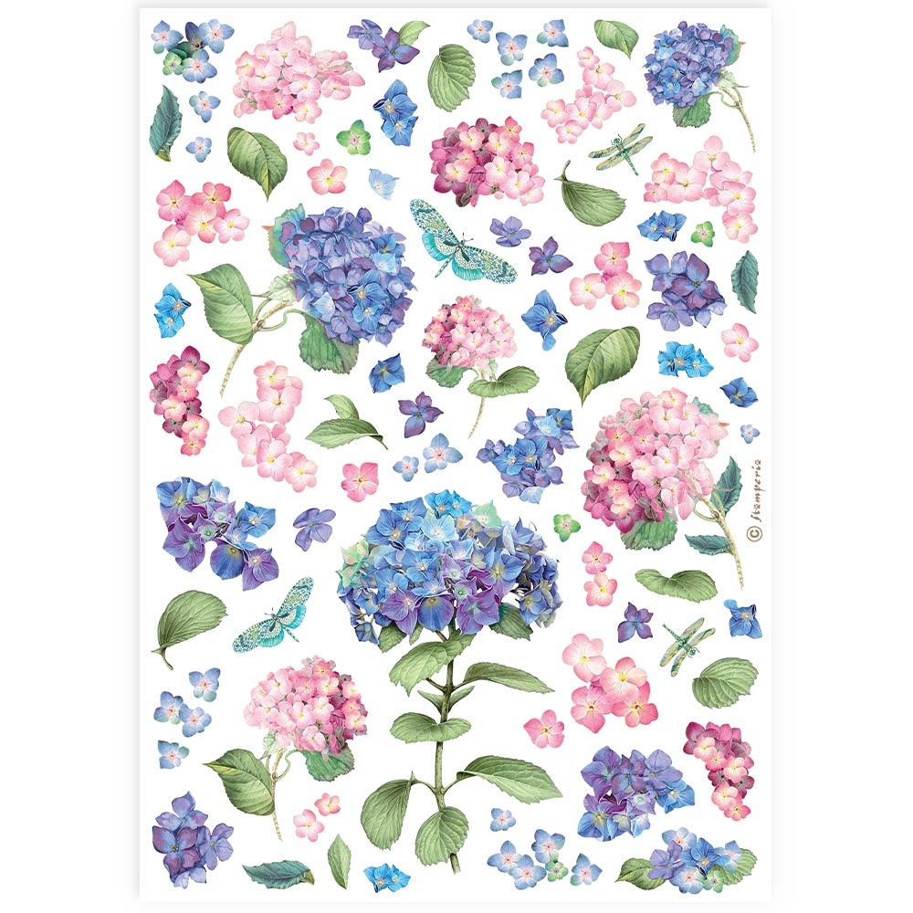 Stamperia A4 Rice paper packed - Hortensia