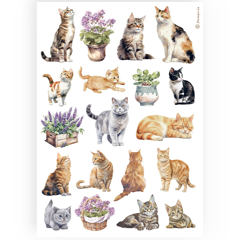Stamperia A4 Rice paper packed - cats