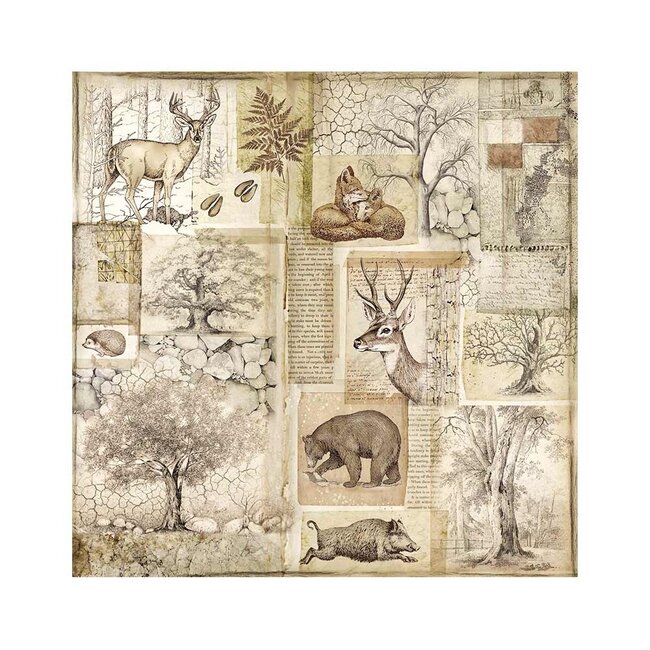 Stamperia Pack 4 sheets fabric cm 30x30 - Forest