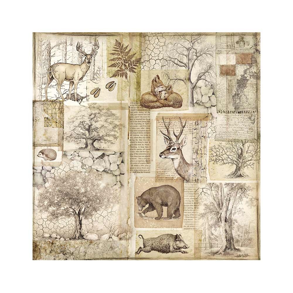 Stamperia Pack 4 sheets fabric cm 30x30 - Forest