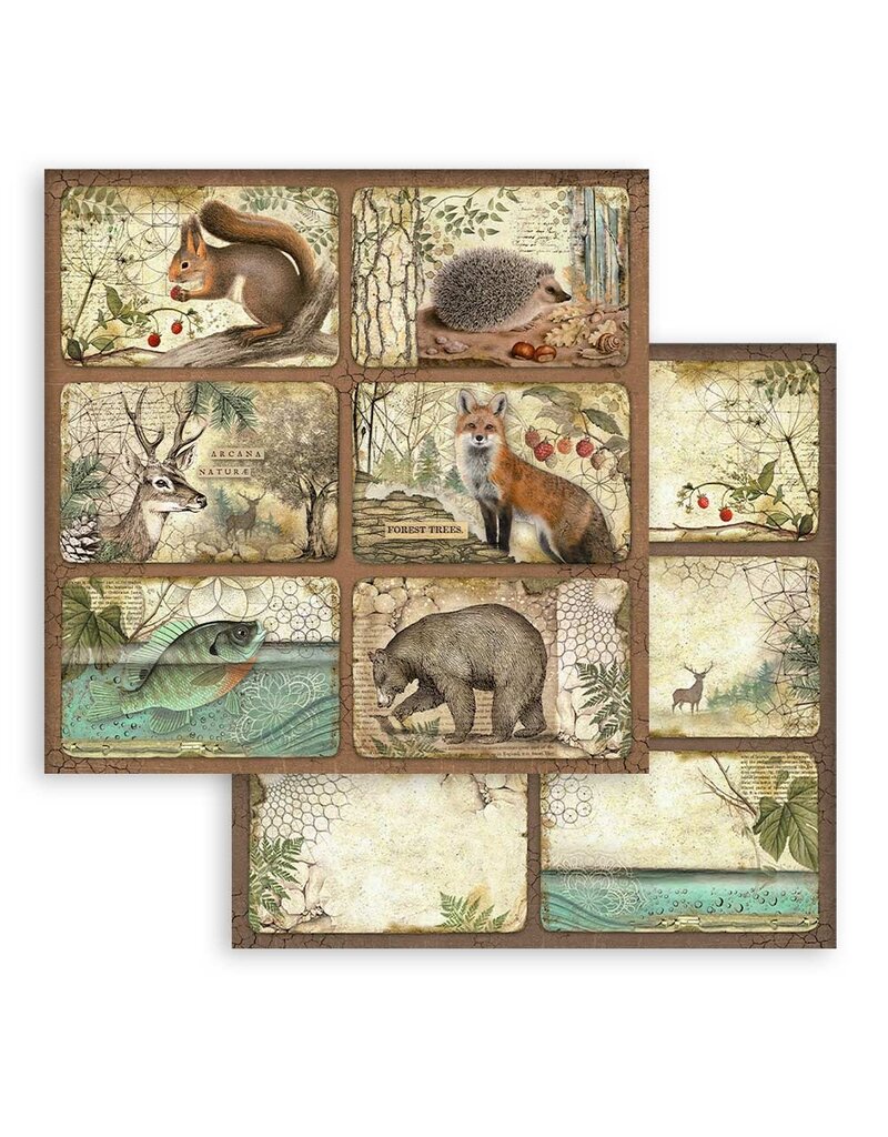 Stamperia Scrapbooking Pad 10 sheets cm 30,5x30,5 (12"x12") - Forest