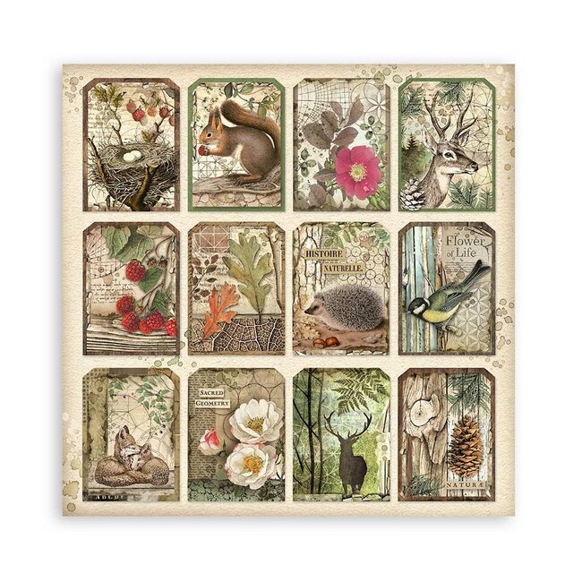 Stamperia Papierblok 30,5x30,5 cm - 22 vellen - Enkelzijdig - 18 printed sheets + 6 Grass paper  Forest