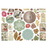 Stamperia Die cuts assorted - Forest