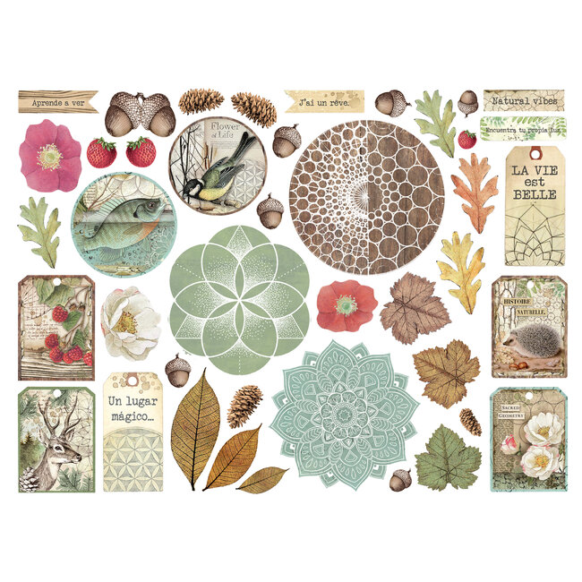 Stamperia Die cuts assorted - Forest