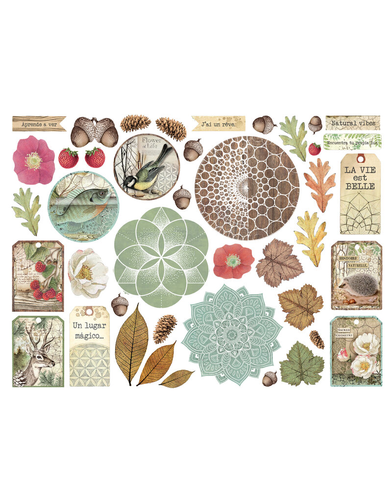 Stamperia Die cuts assorted - Forest