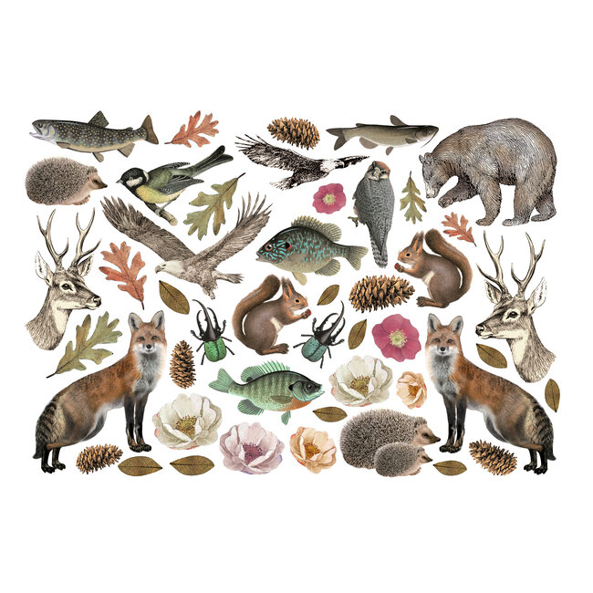 Stamperia Ephemera  - Forest