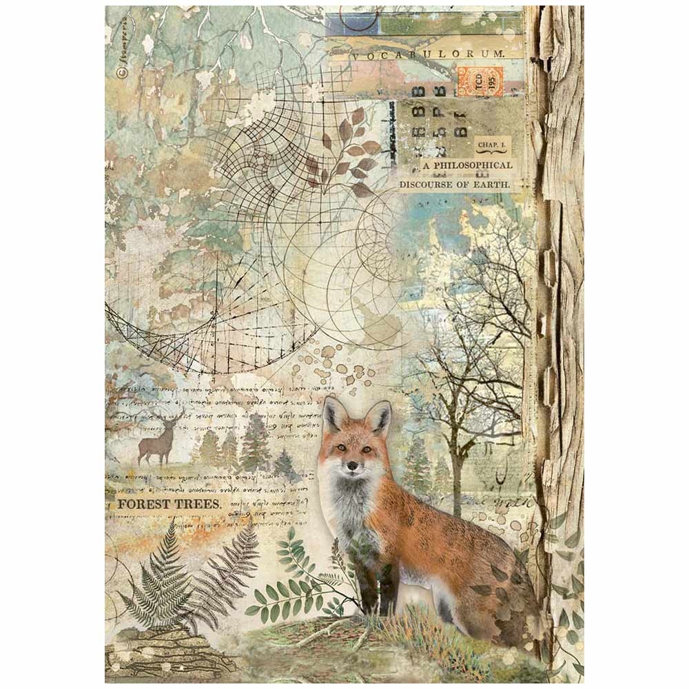 Stamperia A4 Rice paper packed - Forest fox
